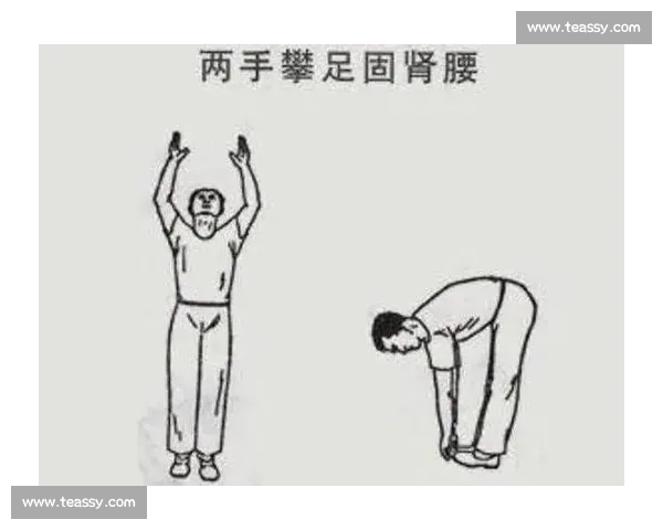 健体比赛动作解析全攻略 分步骤详解每一动作技巧与要领