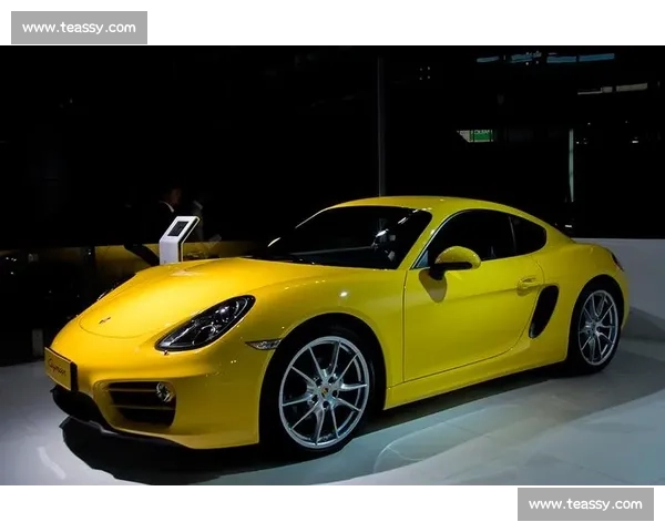 布嘉迪赛事精彩纷呈挑战极限速度，见证世界顶级豪车竞技风采