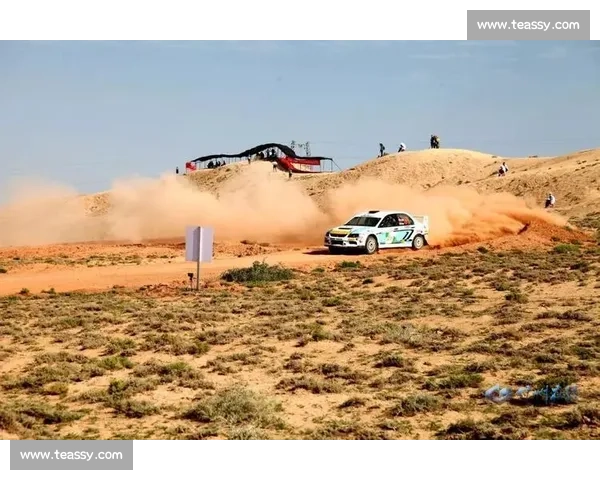 惊险刺激大货车竞速挑战赛全程精彩瞬间回顾