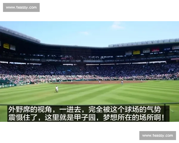 日本甲子园激战全纪录 高校棒球梦想与荣耀交织瞬间