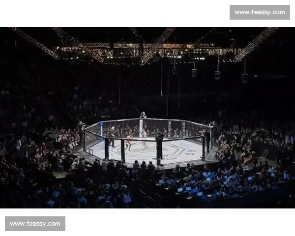 最新UFC赛事精彩对决全程回顾 强者之间的殊死搏斗与精彩瞬间解析