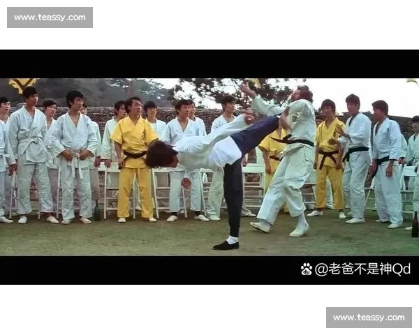 李小龙MMA比赛精彩瞬间全纪录展现传奇武术大师的无敌风采